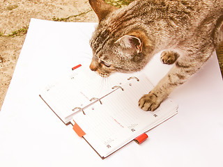 Image showing Retro looking Cat reading notekeeper