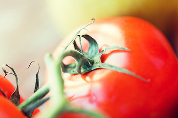 Image showing close up of ripe juicy red tomatoes
