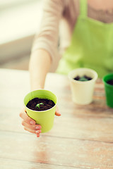 Image showing close up of woman hand holding pot with sprout