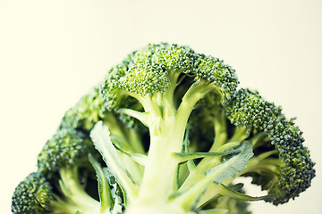 Image showing close up of broccoli over white