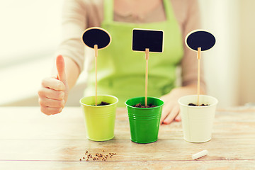 Image showing close up of woman over pots with soil and signs