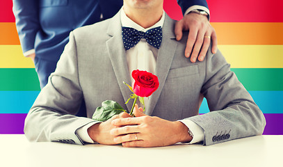 Image showing close up of male gay couple with wedding rings on