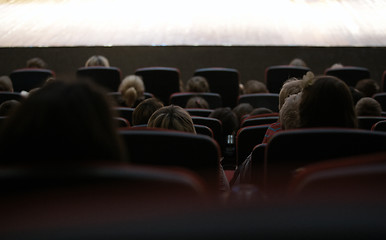 Image showing People watching stage performance