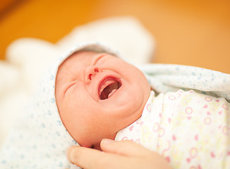 Image showing Newborn cries