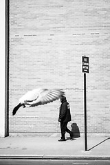 Image showing Man walking on sidewalk bw