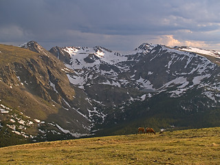 Image showing Alpine Pastoral
