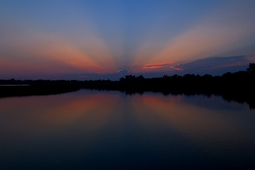 Image showing Butterfly Sunrise