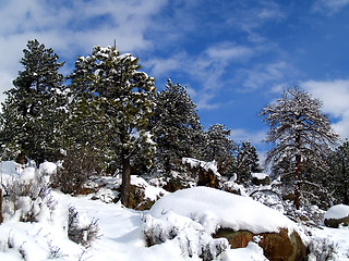 Image showing Crisp Winter Air