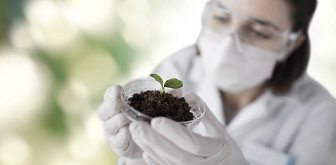 Image showing close up of scientist with plant and soil