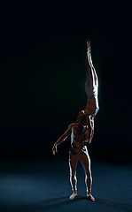 Image showing Circus artists perform different tricks.