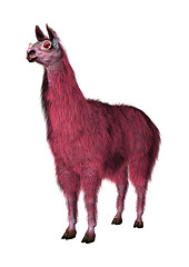 Image showing Pink Lama on White