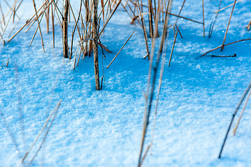 Image showing Snow in new year