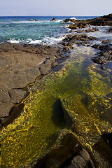 Image showing froth coastline in lanzarote spain  rock stone sky cloud    and 