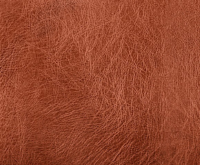 Image showing leather surface