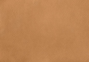 Image showing leather surface