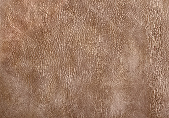 Image showing leather surface