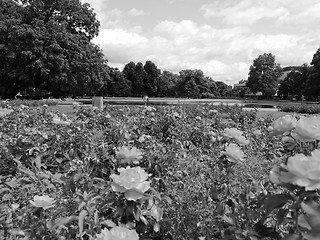 Image showing Gardens in Stuttgart Germany