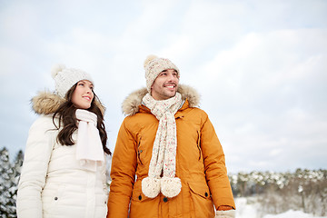 Image showing happy couple walking over winter background