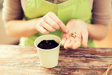 Image showing close up of woman sowing seeds to soil in pot