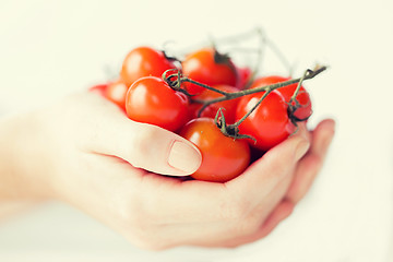 Image showing close up of woman hands holding cherry tomatoes