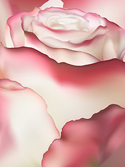 Image showing Pink rose macro. EPS 10 