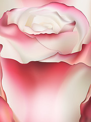 Image showing Pink rose macro. EPS 10 