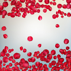 Image showing Red rose petals. EPS 10