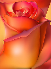 Image showing Orange rose macro. EPS 10 