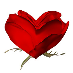 Image showing Stylish red rose isolated on white. EPS 10