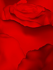 Image showing Close up of red rose with petals. EPS 10