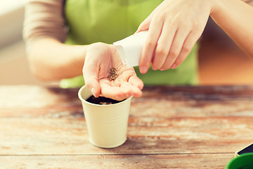 Image showing close up of woman sowing seeds to soil in pot