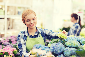 Image showing happy woman taking care of flowers in greenhouse