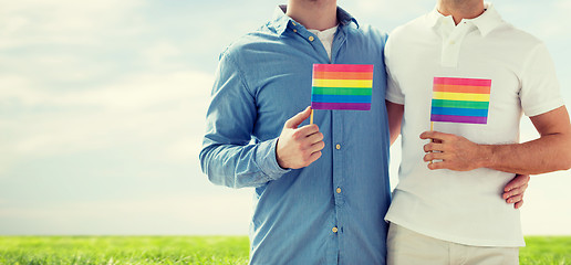 Image showing close up of male gay couple holding rainbow flags