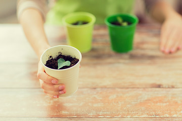 Image showing close up of woman hand holding pot with sprout