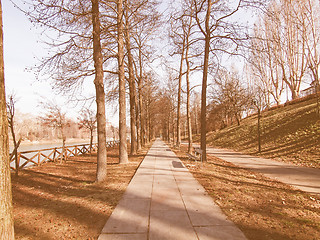 Image showing Path among trees vintage