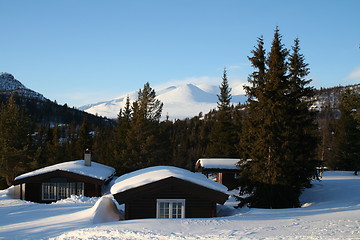 Image showing Winter in Rondane