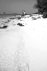 Image showing Walking at the beach