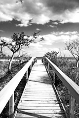 Image showing Bridge to the beach