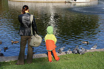 Image showing Feeding birds