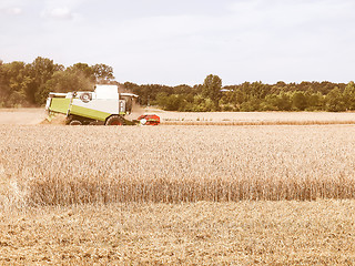 Image showing  Harvest vintage