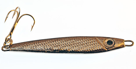 Image showing Fishing lure