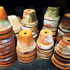 Image showing Colorful mossy clay pots