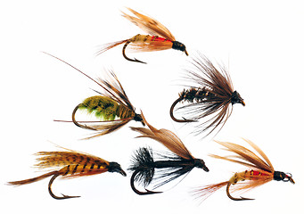 Image showing Fly fishing lures