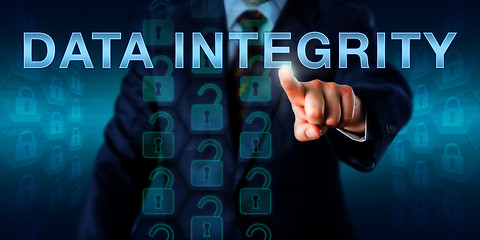 Image showing IT Manager Pushing DATA INTEGRITY