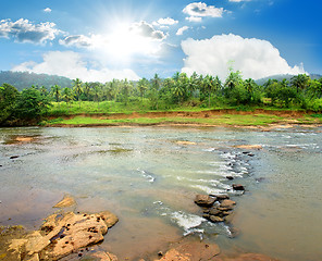 Image showing River in jungle