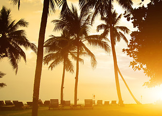 Image showing Chaise-longues on a beach