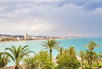 Image showing View over the palm trees and coastline of Peniscola, Spain