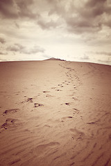 Image showing Dune of Pilat, the tallest sand dune in Europe