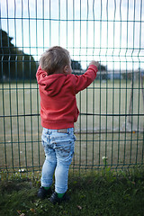 Image showing Little boy peering through a wire fence