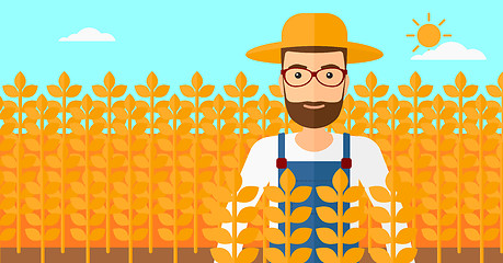 Image showing Man in wheat field.